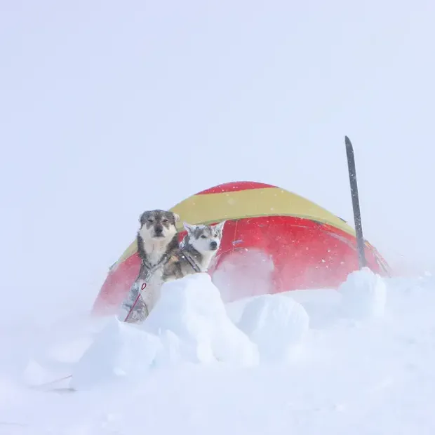 Kupelltelt til 3 Helsport Svalbard High 3 Camp