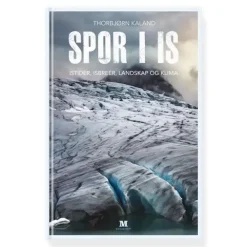 Spor i is Manuskript Spor i is