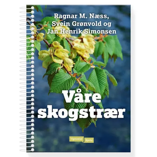 Våre skogstrær Vigmostad Bjørke Våre skogstrær