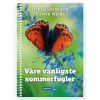 Våre vanligste sommerfugler Vigmostad Bjørke Våre vanligste sommerfu