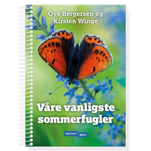 Våre vanligste sommerfugler Vigmostad Bjørke Våre vanligste sommerfu